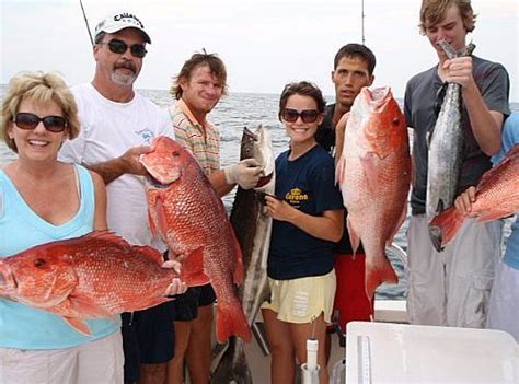 Distraction Charters Fishing Reports Orange Beach Charter Fishing