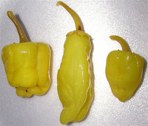 Combine pepperoncini pickling liquid, olive oil, and mustard in a medium bowl, stirring well with a whisk. Pepperoncini: Wiki facts for this cookery ingredient