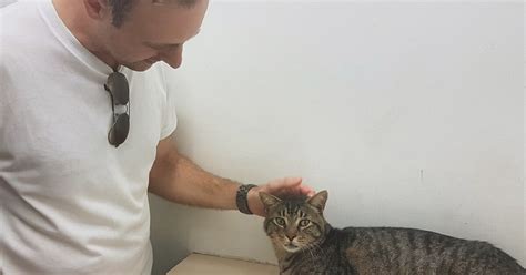 Owner Reunites With His Cat That He Lost 11 Years Ago But Decides That Someone Else Can Have
