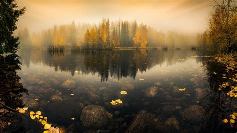 Foggy Lake In Finland Wallpapers