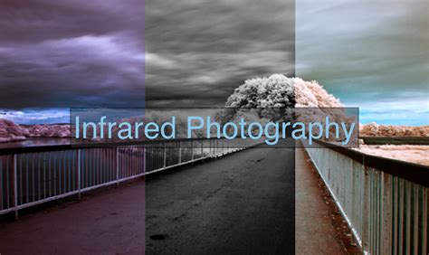 Understanding Infrared Photography A Beginners Guide