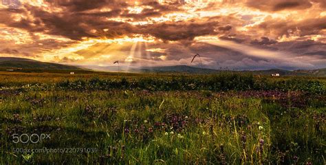 Sunset Grassland By 471211582 Kevin Seawrights Wordpress Blog