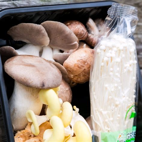 Wild And Exotic Variety Mushroom Mix Shiitake Oyster And Enoki Delivery