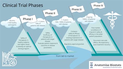 Clinical Trial Phases In Drug Development Biostatistics