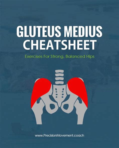 4 Gluteus Medius Exercises For Stronger Balanced Hips Gluteus Medius
