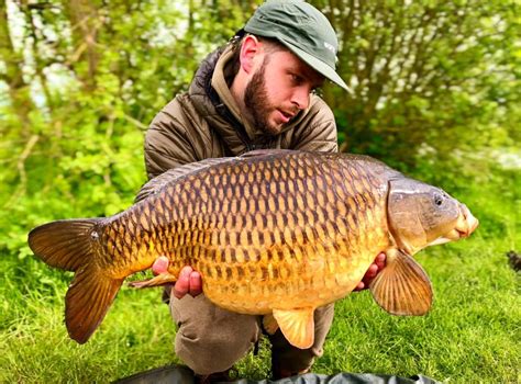 Beaufighter Lake Carpworld