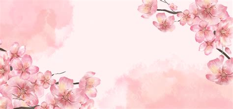 Watercolor Floral Background With Pink Sakura Branches Cherry Blossoms