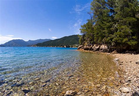 A Road Trip Through The Marlborough Sounds New Zealand