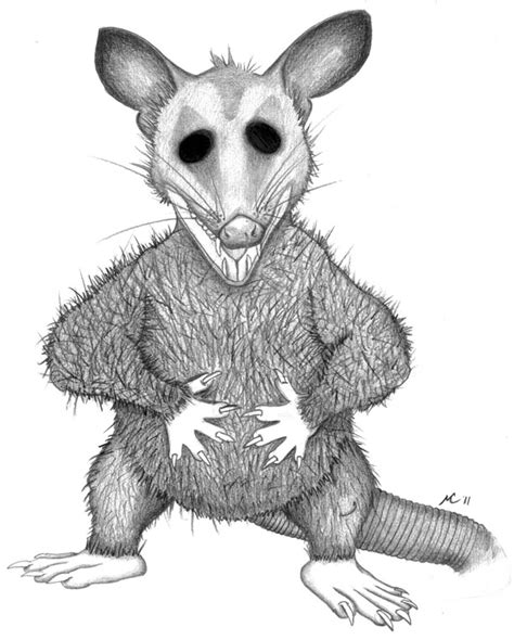 Awesome Possum By Me Shey El On Deviantart