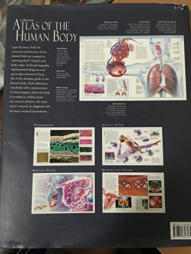 The Illustrated Atlas Of The Human Body By Beverly Mcmillan Good 2008