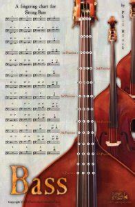 String Bass Poster Mit Grifftabelle Grifftabellen De My Xxx Hot Girl