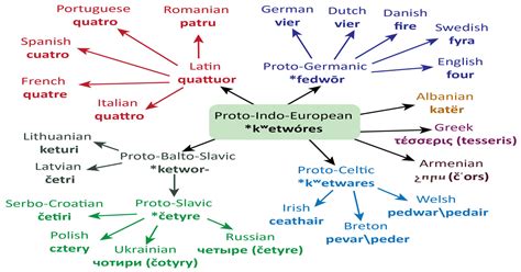 The Evolution Of The Word For Four From Proto Indo European To