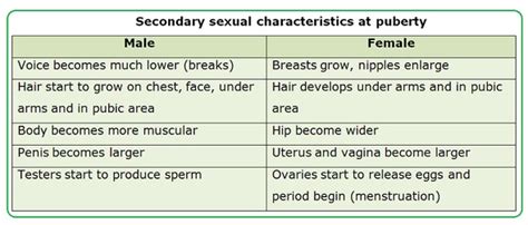 sex hormones biology notes for igcse 2014 free download nude photo gallery