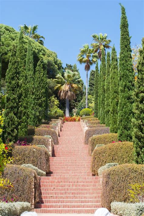 Lassen sie sich von der großen vielfalt an pflanzen und blumen des botanischen gartens überraschen. Botanischer Garten In Barcelona Spanien Stockfoto - Bild ...