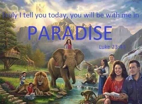 Pin By Valerie Sedano On Luke Jehovah Paradise Life In Paradise