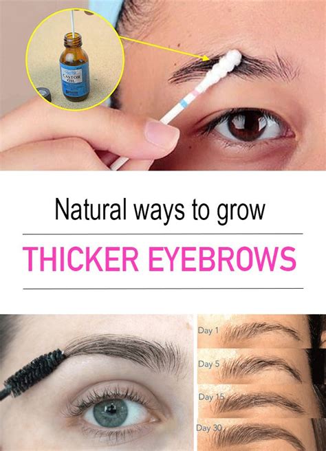 Thicker Eyebrows Natural Ways To Grow Thicker Eyebrows How To Grow