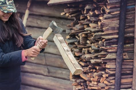 Cutting Firewood Warms You Twice Tips For Choosing The Best Firewood