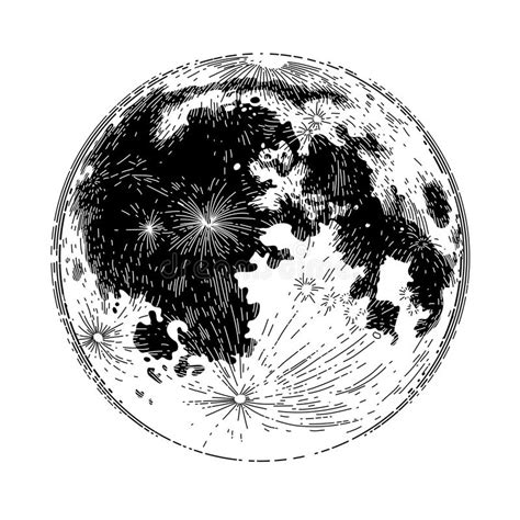 Graphic Full Moon Stock Vector Illustration Of Lunar