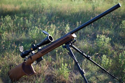 Cz 527 Varmint Mtr A Deadly Accurate Long Range Rifle The Ultimate