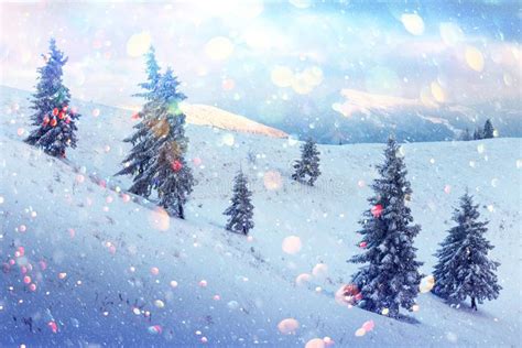 Fantastic Winter Landscape Stock Image Image Of Frost 133810001