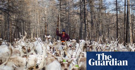 Mongolias Reindeer Herders In Pictures News The Guardian