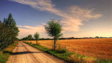 Wallpaper 3840x2160 Field Road Trees Landscape 4k Ultra Hd Hd