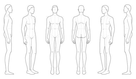 Human Body Front And Back Outline Bmp Mathematical