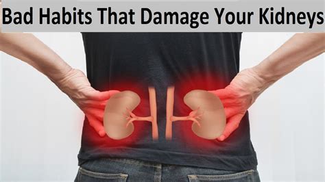 8 Common Habits That Damage Your Kidneys How To Keep Your Kidneys