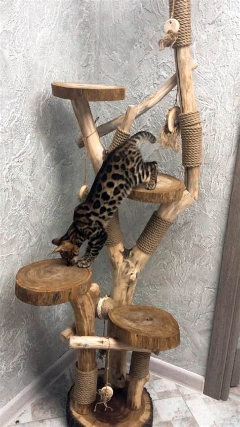 7 Best Cat Trees That Look Like Real Trees Reviewed 2021