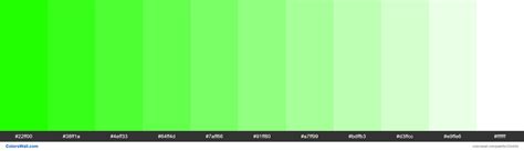 Green Screen Colors Palette Colorswall