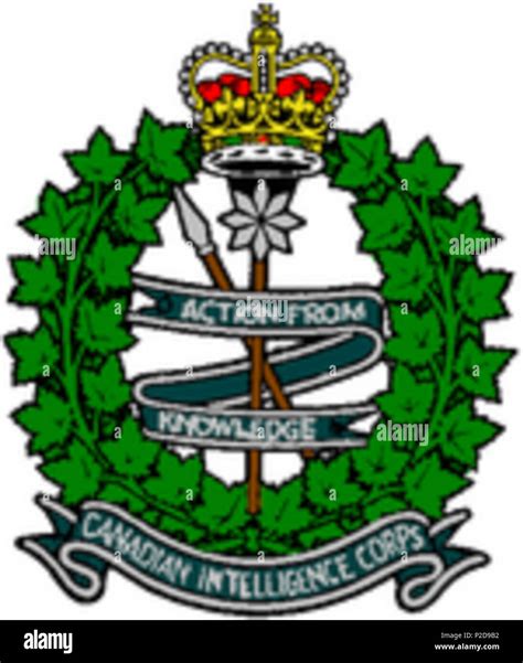 11 Canadian Intelligence Corps Badge Stock Photo Alamy