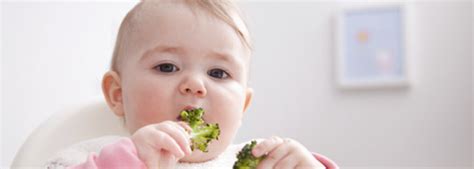 Los Mejores Trucos Para Que Tu Bebé Empiece A Comer Fruta Y Verdura