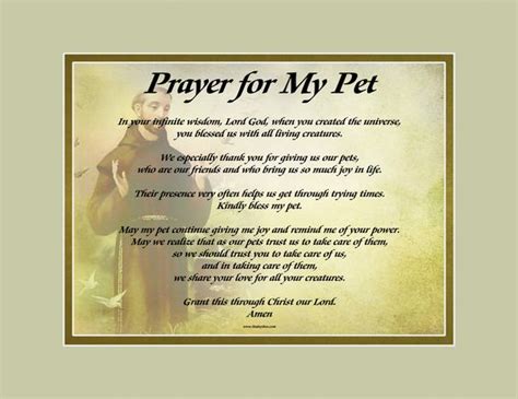 You have made us stewards of (name of pet). Our "St. Francis" background, shown with Prayer for my Pet ...