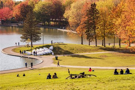 Parc Du Mont Royal Montréal Canada Sights Lonely Planet