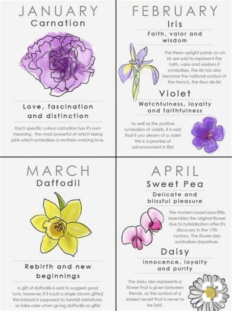 Pin By Ashleigh Tharpe On Tattoo Ideas Flower Meanings Birth Month