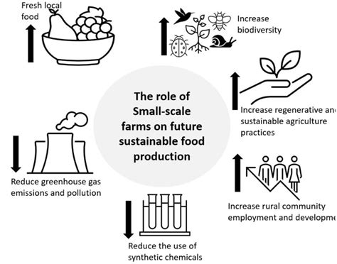 The Role Of Small Scale Farmers In Sustainable Local Food Production Download Scientific Diagram