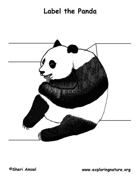Panda Labeling Page