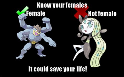 Pokemon Gender By Scarecrow113 On Deviantart
