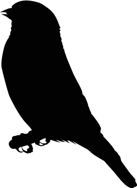 Finch Clip Art Sitting Bird Silhouette Png Transparent Png Full