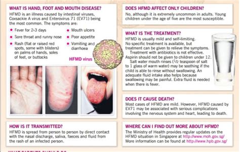 fay jesselton hfmd hand foot and mouth disease