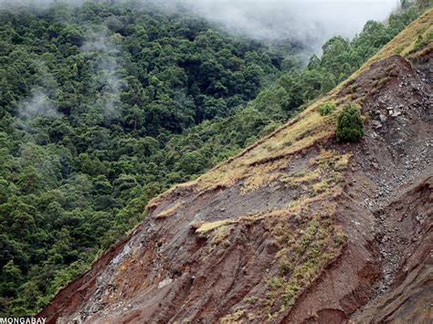 Soil Erosion Consequences Of Deforestation In Brazil