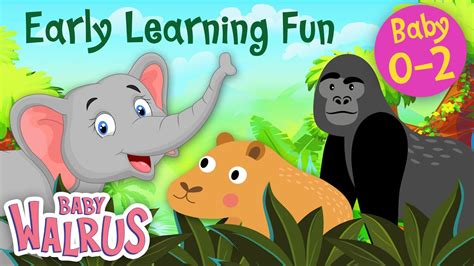 Early Learning Fun 12 Jungle Animals And Their Sounds 3 🦏🐯 🦍counting