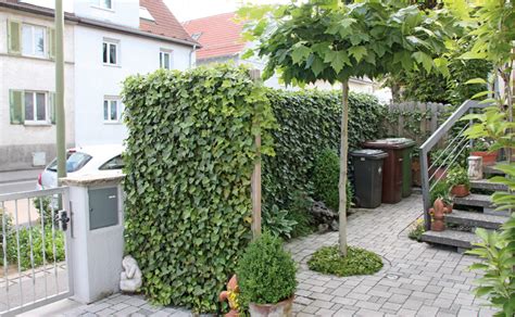 Weitere ideen zu sichtschutz glas sichtschutz sichtschutz garten. Sichtschutz für Garten und Terrasse - HORNBACH Schweiz