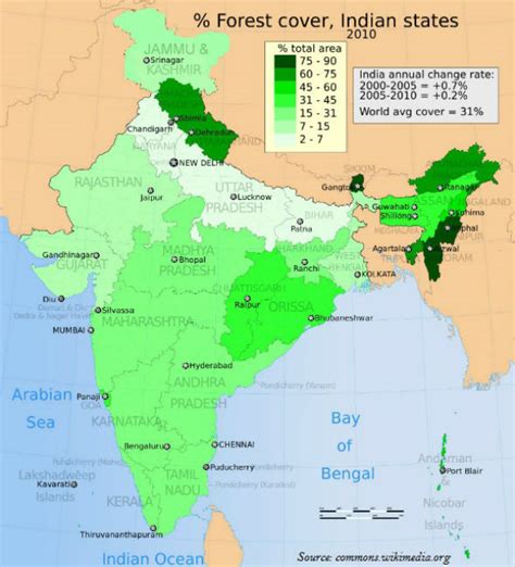 Geography India National Forest Colorfull Study