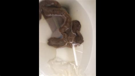 Poo In The Toilet 19 Youtube