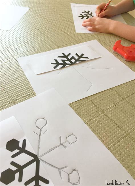 Snowflake Symmetry Drawings Math Art Projects Snowflakes Drawing
