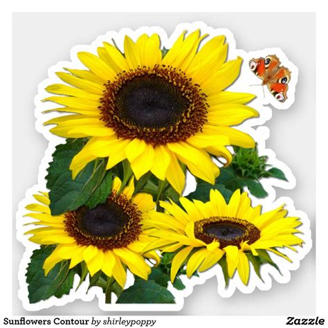 Sunflowers Contour Sticker In 2021 Design Your Own