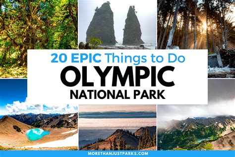 20 Epic Things To Do At Olympic National Park Helpful Guide
