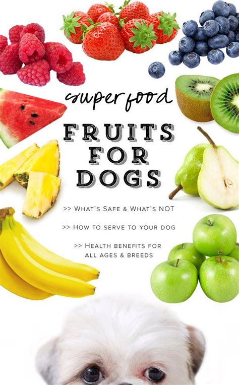 10 Superfood Fruits For Dogs Whats Safe And Whats Not Fruits For