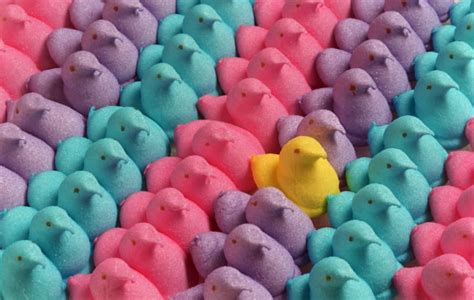 48 Easter Peeps Wallpaper